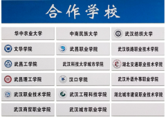 武汉高新职业技术学校对口升学及就业单位公示